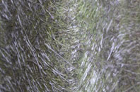 Humber fibreglass roof work